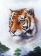 Beautiful oil painting tiger looking background profile - ID # 246628318