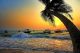 Beautiful tropical sunset with palm trees and boat  - ID # 246970900