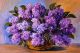 Oil painting on canvas - a bouquet of lilacs - ID # 248468872