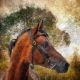 Arabian horse portrait Simulation of old painting style - ID # 87265438