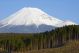 Logging Of A Cedar Forest Near Mt - Fuji - Japan - ID # 11620562