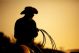 Rodeo Cowboy Silhouette - ID # 20168558