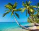 Tropical Beach With Palms In Kood Island Thailand - ID # 22403975