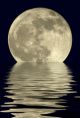 True Full April Moon - Michigan - Usa - ID # 3372142