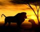 Safari African Spirit - Lion And Cub - ID # 3550210