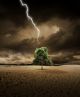 Lighting Is About To Hit A Treein The Desert - ID # 41186649