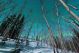 Green Bands Of Northern Lights Over Winter Taiga - ID # 51592043