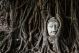 Head Of Sandstone Buddha In The Tree Roots - ID # 51970157