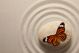 Zen Rock With Butterfly - ID # 53023516