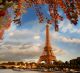 Eiffel Tower With Autumn Leaves In Paris - France - ID # 54161197