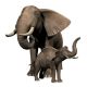 Adult Elephant With Calf - ID # 5582423