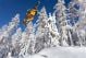 Foresta Ghiacciata Con Snowboarder In Volo - ID # 60027437