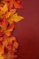 Yellow And Red Fall Leaves On Wood Background - ID # 8949368