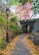 Central Park Path Under Bridge In Fall - ID # 97010001
