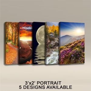 READY MADE 3'X2'X2" ACOUSTIC ART PANELS - PORTRAITS, IN 5 STYLES