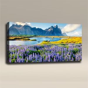 AcousticART Curated Nature Collection #N4L2 lupines on Stokksnes headland - Size: 48" W x 24" H x 2" - Landscape