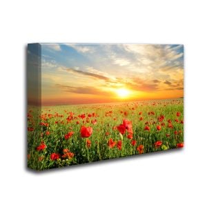 Ready Made 3'x2'x2 Acoustic Art Panels - 6 Nature Themed Styles to choose from