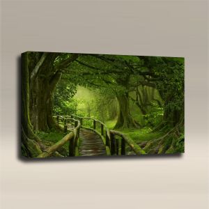 AcousticART Curated Nature Collection #N3L1 Wooden bridge over the rainforest - Size: 36" W x 24" H x 2" - Landscape