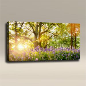 AcousticART Curated Nature Collection #N4L5 bluebell forest with sunrise bursting - Size: 48" W x 24" H x 2" - Landscape