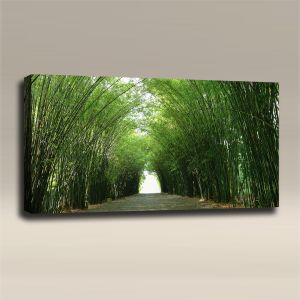 AcousticART Curated Nature Collection #N4L6 Bamboo Tunnel - Size: 48" W x 24" H x 2" - Landscape