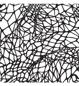 Black and White Abstract Lines Pattern - ID # 131900156