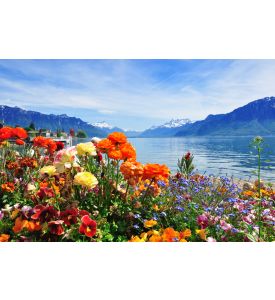 Swiss landscape: flowers mountains and lake - ID # 142338424