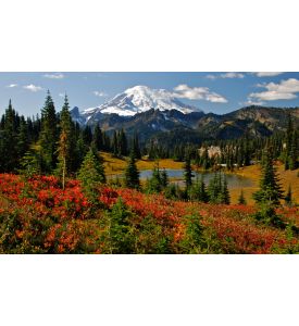 Autumn colors in Mt Rainier National Park - ID # 150673001