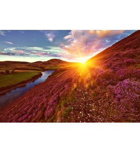 Colorful landscape scenery with a footpath through the hill - ID # 214322023