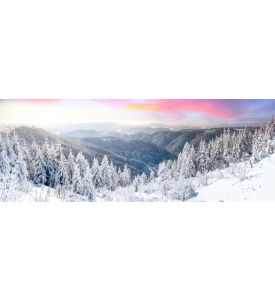Schliffkopf, Black Forrest, Winter landscape - ID # 2682092335