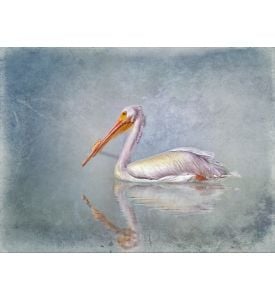 White pelican digitally painted against textured background - ID # 281802911