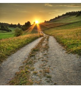 Idyllic sunset on dusty road in countryside - ID # 37271320