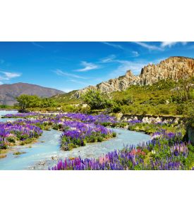 Clay Cliffs scenic reserve New Zealand - ID # 53853226