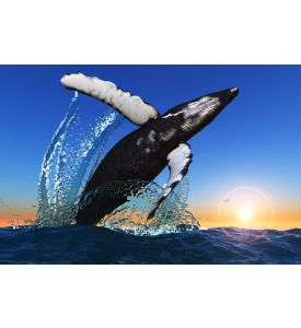Large whale jumps out of the sea  - ID # 85321750