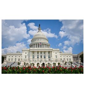 Washington Dc Us Capitol Building In A Cloudy Day - ID # 109755791