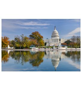 Us Capitol Building In Autumn  Washington Dc United States - ID # 120159808