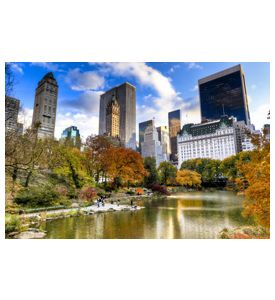 Modern Downtown City Park - ID # 18400168