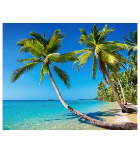 Tropical Beach With Palms In Kood Island Thailand - ID # 22403975