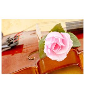 Rose On Violin In Grunged Texture - ID # 32800002