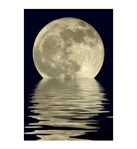 True Full April Moon - Michigan - Usa - ID # 3372142