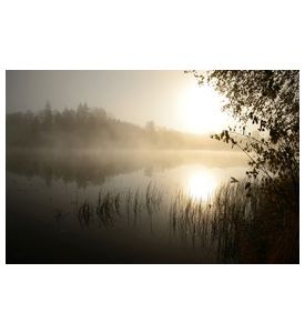 Mornings Fog Over The Lake - ID # 36798038