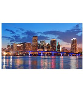 Miami Night Scene - ID # 42447150