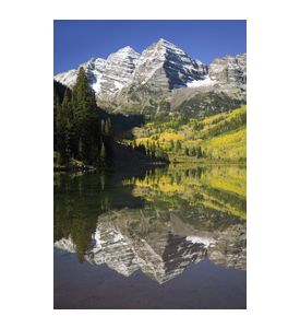 Autumn Colors Of Aspens Reflecting In Lake 1 - ID # 43216844