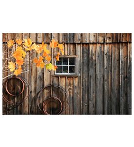 Historic Millbrook Village - ID # 4883772