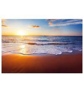 Sunset And Sea - ID # 51584557