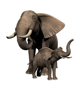 Adult Elephant With Calf - ID # 5582423