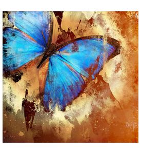Painted Butterfly - Illustration In Grunge Style - ID # 5633405