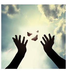 Hand With Butterfly In Sky - ID # 56930312