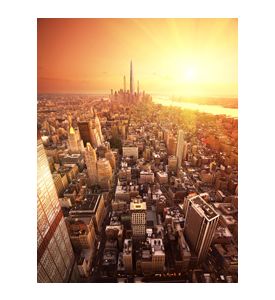 Future New York - ID # 8253840
