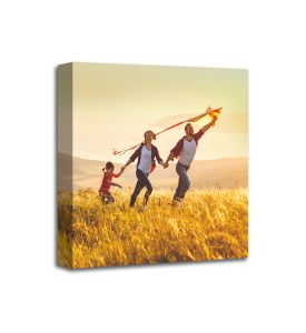 Acoustic art Panels with your own Custom Graphics and images- Size: 1'x1'